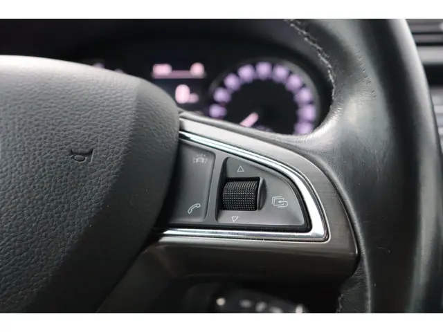 Škoda Fabia 1.2 TSI JOY|Trekhaak| 2017 Benzine 10