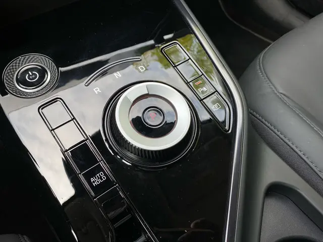 Kia Niro EV DynamicLine 64.8 kWh 2023 Elektrisch 20