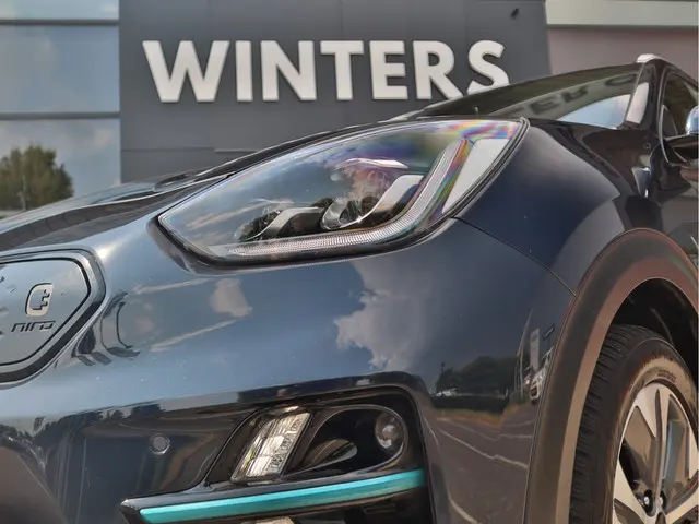 Kia e-Niro ExecutiveLine 64 kWh 2020 Elektrisch 4
