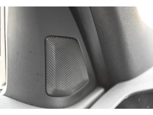 BMW 3 Serie 318i Executive Edition 2021 Benzine 31