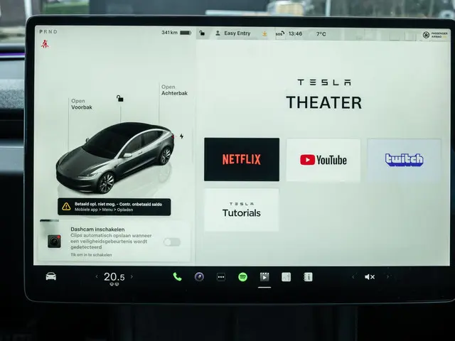 Tesla Model 3 RWD 60 kWh 2024 Elektrisch 38