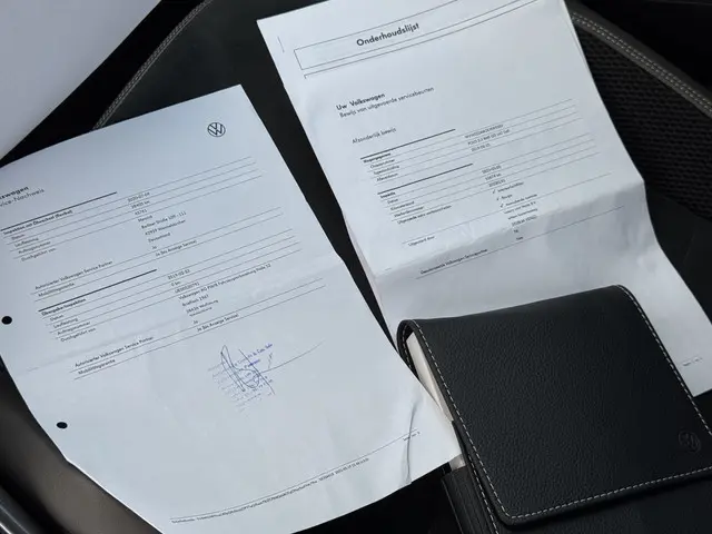 Volkswagen Polo 2.0 TSI DSG GTI 2019 Benzine 31