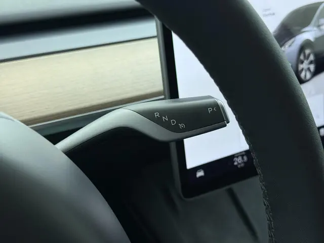 Tesla Model Y RWD 58 kWh 2023 Elektrisch 28