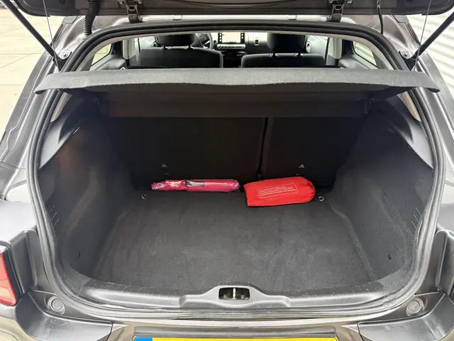 Citroën C4 Cactus 1.2 PureTech Shine 2017 Benzine 22