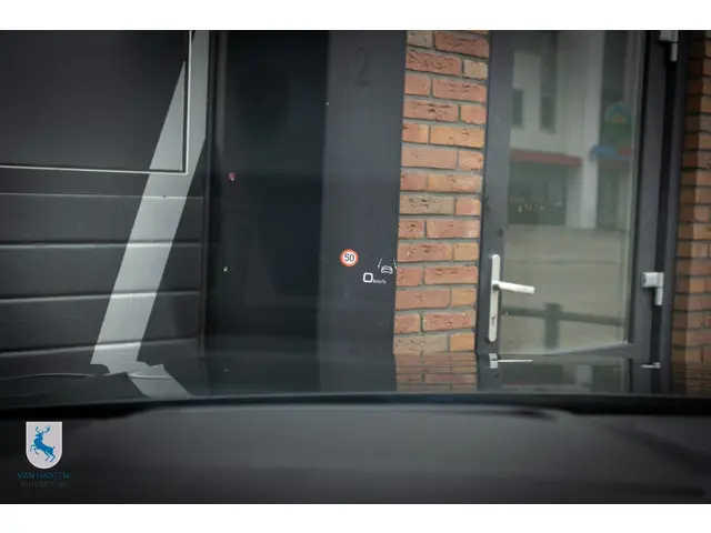 Audi Q8 4.0 TFSI RS Q8 quattro 2024 Benzine 15