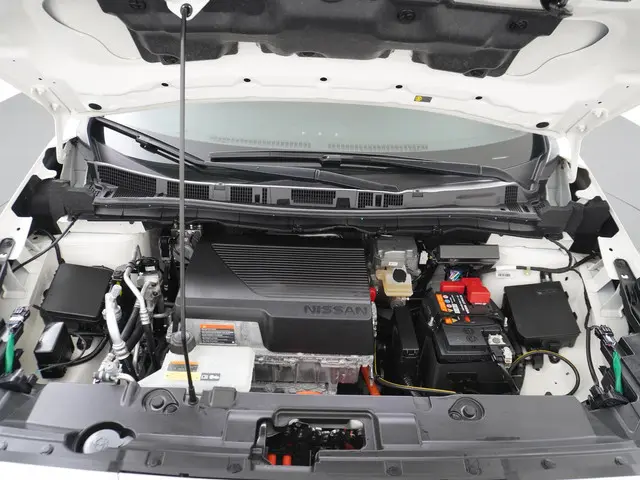 Nissan Leaf Tekna 40 kWh 2019 Elektrisch 16