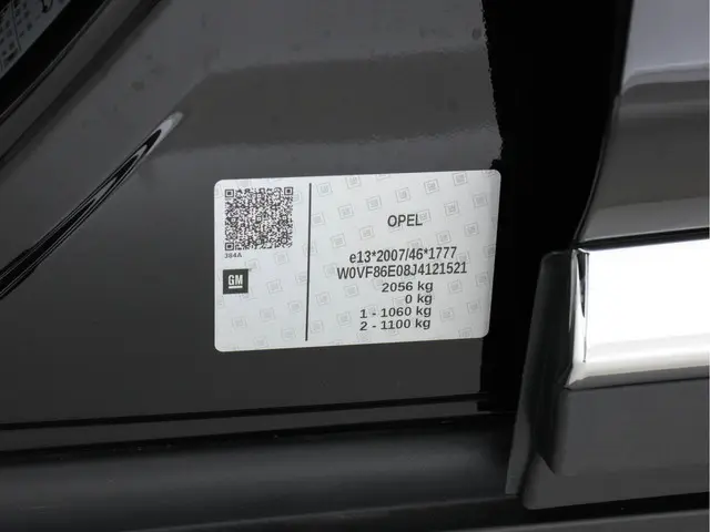 Opel Ampera-e Business Executive 60 kWh 2018 Elektrisch 31