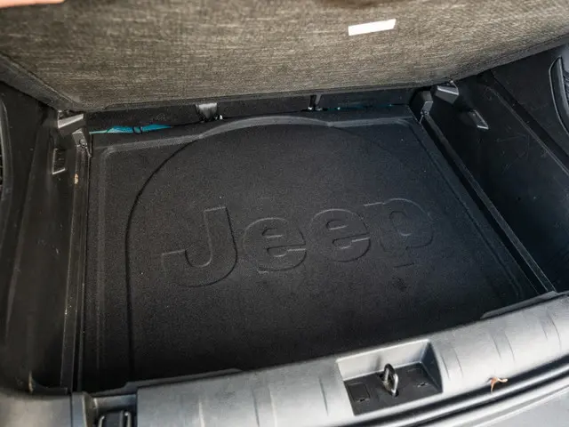 Jeep Renegade 1.3T Limited 2019 Benzine 50