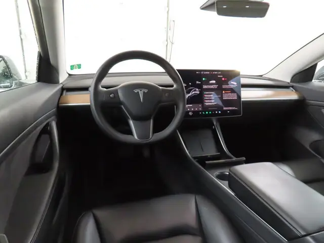 Tesla Model 3 Standard RWD Plus 60 kWh 2020 Elektrisch 4