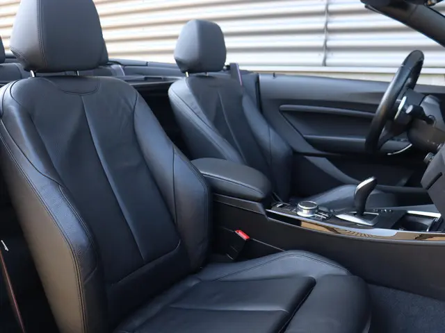 BMW 2 Serie Cabrio 220i 2019 Benzine 10