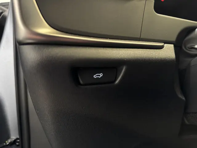 Lexus RZ 350e Luxury Line 77 kWh 2026 Elektrisch 8