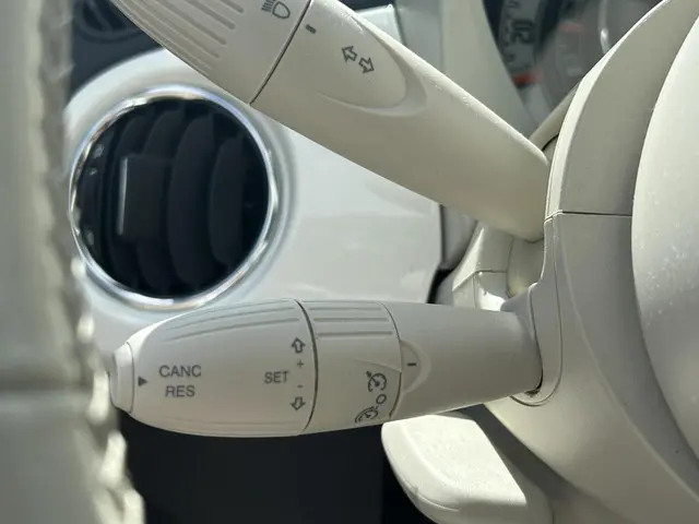 Fiat 500 1.2 Panoramadak/Lmv/Audio/Cruise 2018 Benzine 19