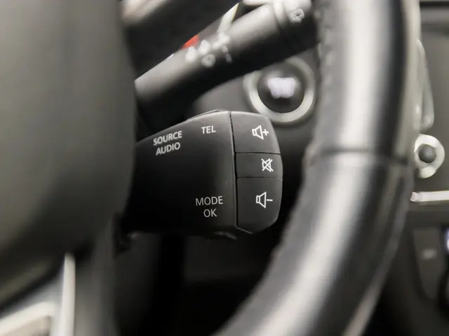 Renault Kadjar 1.2 TCe Intens Sport 2017 Benzine 22