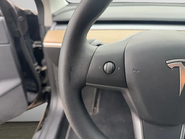 Tesla Model 3 Long Range AWD 75 kWh 2019 Elektrisch 16