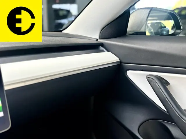 Tesla Model 3 Standard RWD Plus 60 kWh 2021 Elektrisch 34