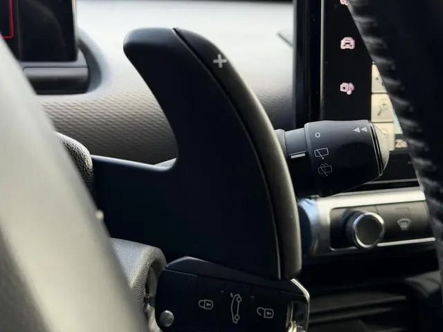 Citroën C4 Cactus 1.2 PureTech Shine 2016 Benzine 29