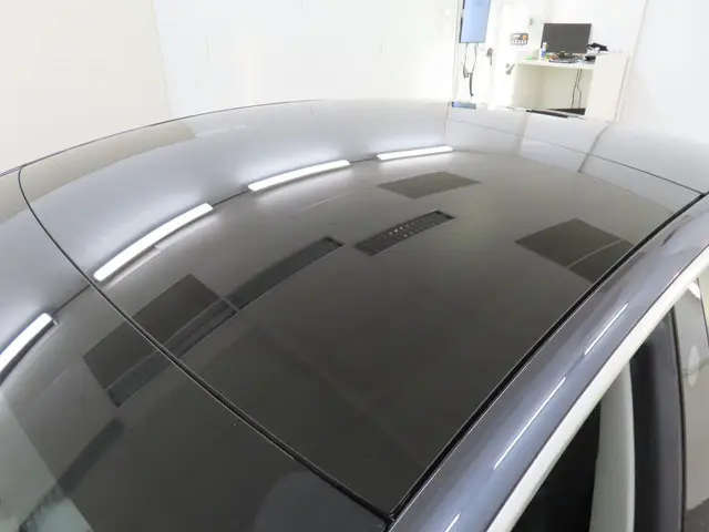 Tesla Model 3 Standard RWD Plus 60 kWh 2020 Elektrisch 13