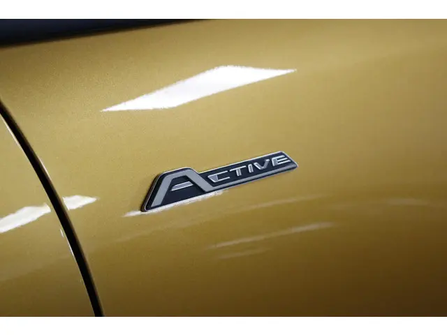 Ford Fiesta 1.0 EcoBoost Active 125 PK. 2018 Benzine 13