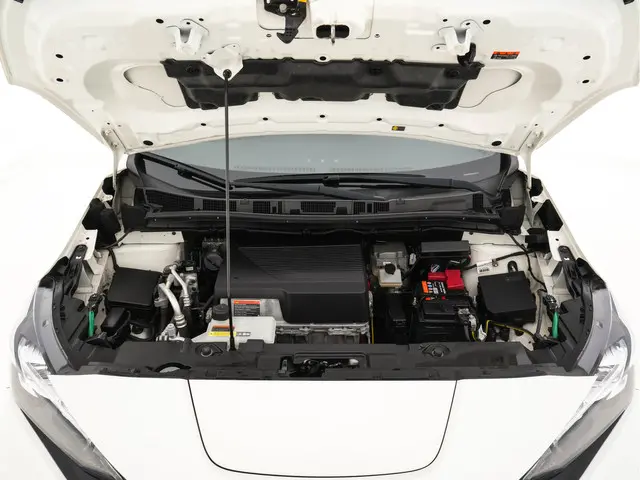 Nissan Leaf Tekna 40 kWh 2019 Elektrisch 27