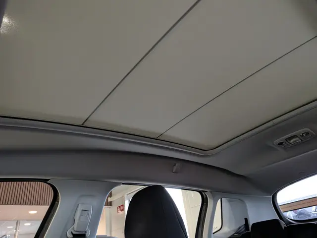 Peugeot 2008 1.2 PureTech Blue Lion 2017 Benzine 20