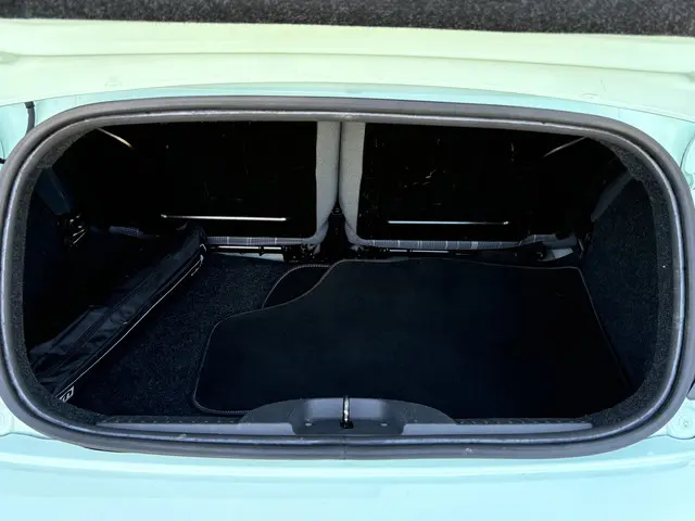 Fiat 500C 0.9 TwinAir Turbo Lounge 2017 Benzine 17