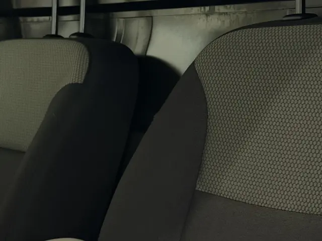 Renault Kangoo 1.5 Blue dCi 95 Work Edition 2020 Diesel 25