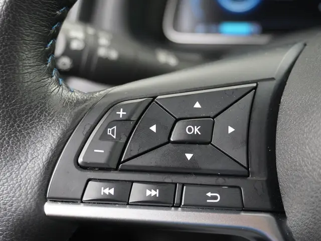 Nissan Leaf Tekna 40 kWh 2019 Elektrisch 29