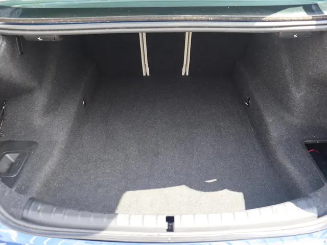 BMW 5 Serie Sedan 520i 2020 Benzine 12