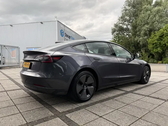 Tesla Model 3 Range Plus 2021 Elektrisch 6