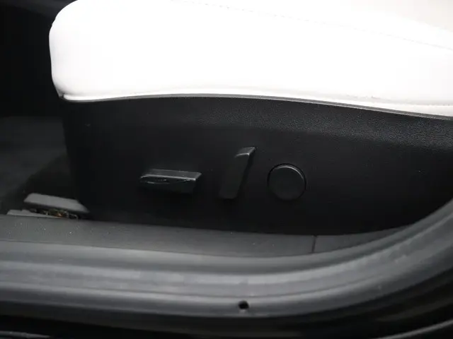 Tesla Model 3 Performance AWD 75 kWh 2019 Elektrisch 18