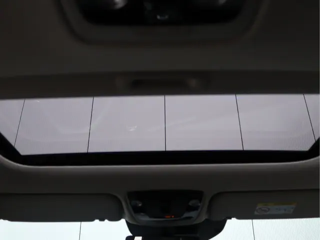 Kia Niro EV ExecutiveLine 64.8 kWh 2022 Elektrisch 30
