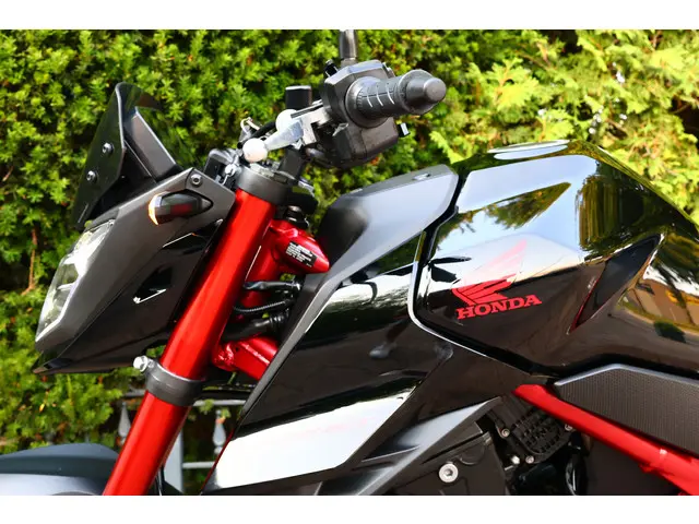 Honda CB 750 HORNET | CB 750 ABS 2024 Benzine 24