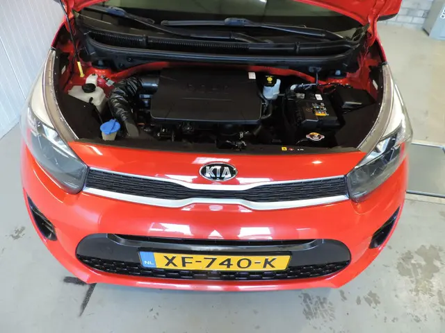 Kia Picanto 1.0 CVVT EconomyLine 2019 Benzine 9