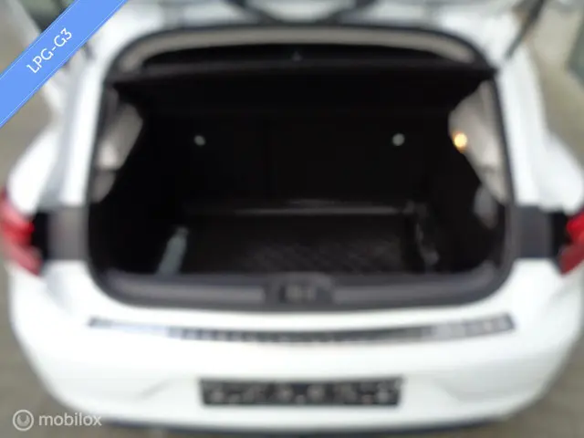 Renault Clio 1.0 TCe Bi-Fuel Intens 2021 LPG/Gas 25