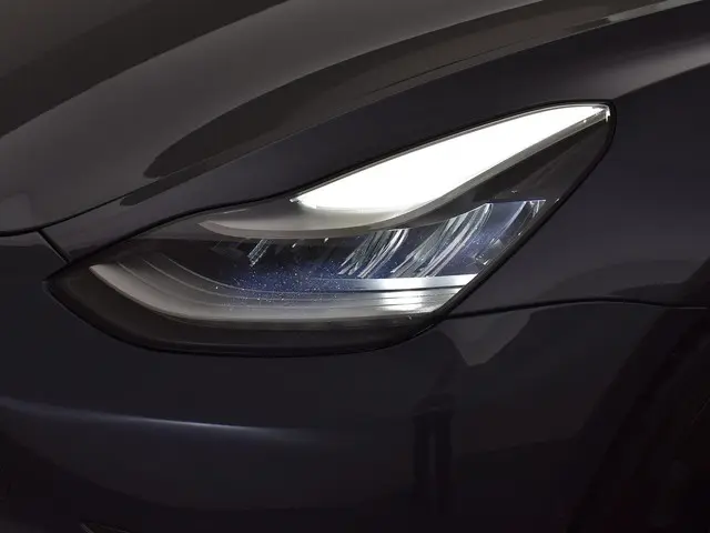 Tesla Model 3 PERFORMANCE 463 PK AWD *BTW* 2019 Elektrisch 24