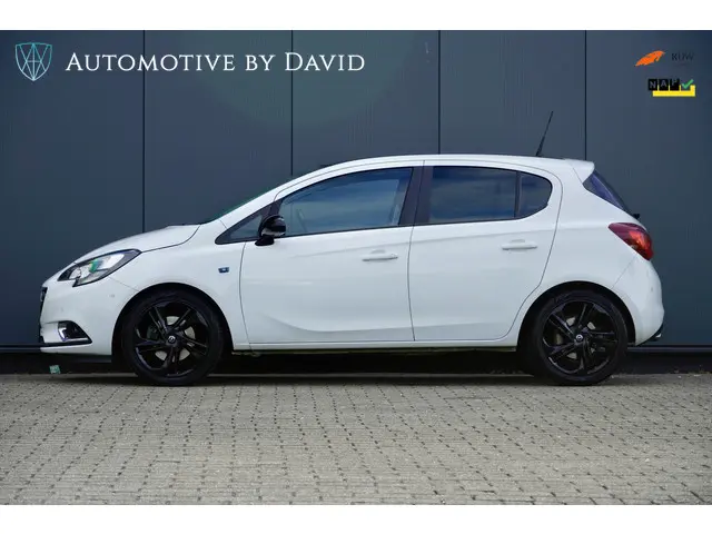 Opel Corsa 1.0 TURBO 116 pk COLOR EDITION 2015 Benzine 3