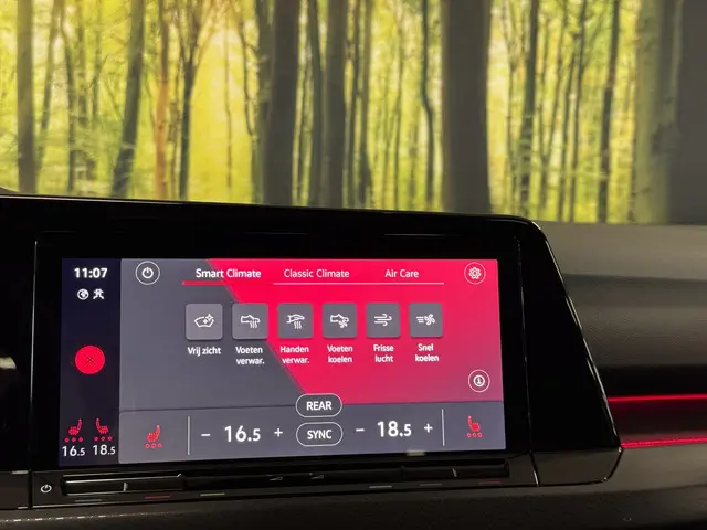 Volkswagen Golf 2.0 TDI GTD 2023 Diesel 19