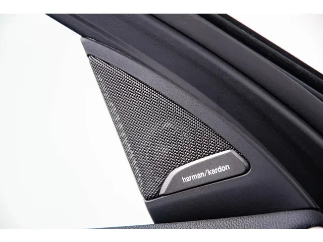 BMW X4 xDrive20i 2020 Benzine 43