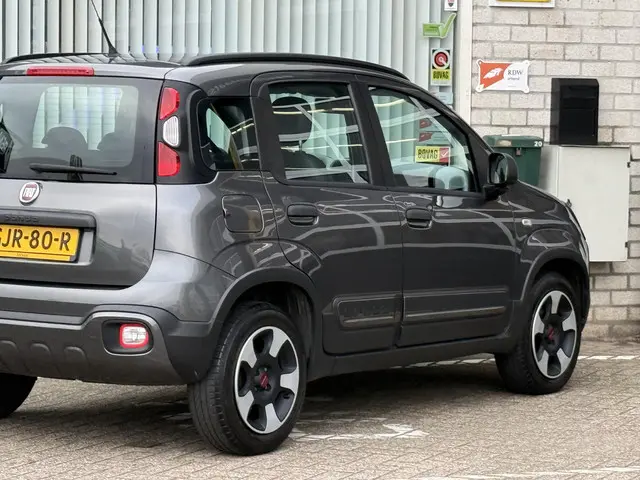 Fiat Panda 1.2 City Cross 2019 Benzine 25
