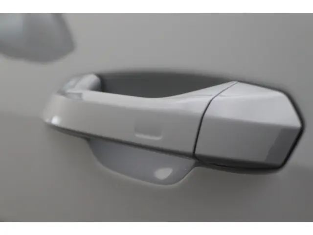 Audi RS6 Avant 4.0 TFSI Quattro 600 PK 2020 Benzine 39