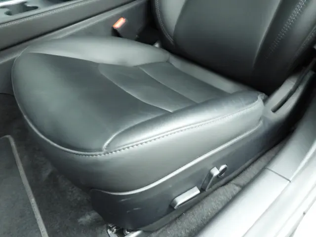 Tesla Model 3 Standard RWD Plus 60 kWh 2023 Elektrisch 19