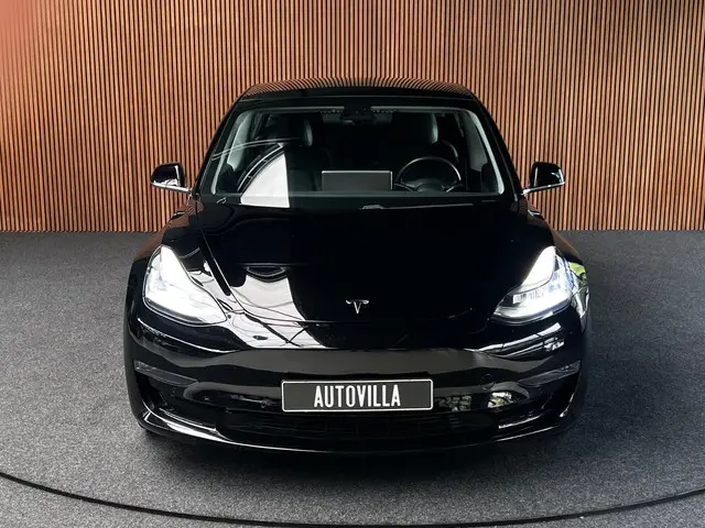 Tesla Model 3 Long Range AWD 75 kWh 2022 Elektrisch 8