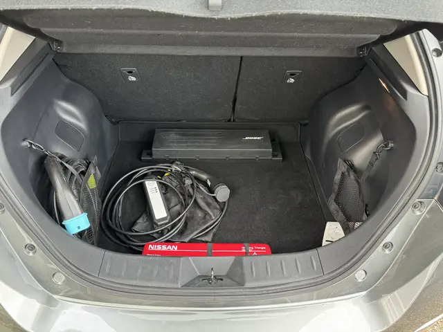 Nissan Leaf e+ Tekna 62 kWh 2019 Elektrisch 7