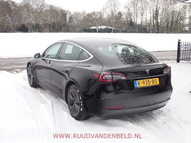Tesla Model 3 SR+ 2020 Elektrisch 5