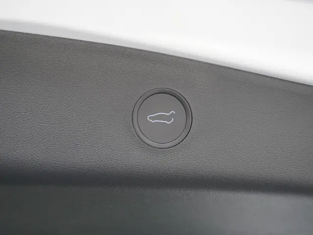 Tesla Model 3 Standard RWD Plus 60 kWh 2021 Elektrisch 13