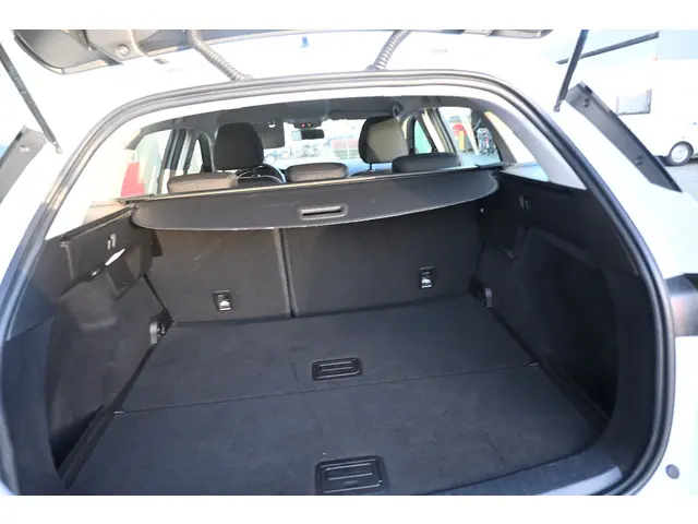 Renault Mégane Estate 1.0 TCe Business Zen 2022 Benzine 24