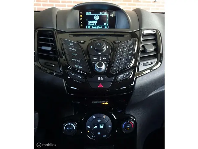 Ford Fiesta 1.0 Titanium 2013 Benzine 16
