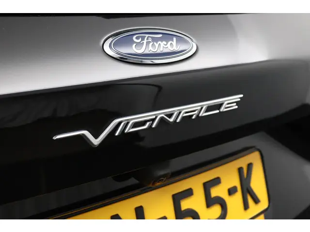 Ford Kuga 2.5 PHEV 225 Vignale 2023 Hybride Benzine 66