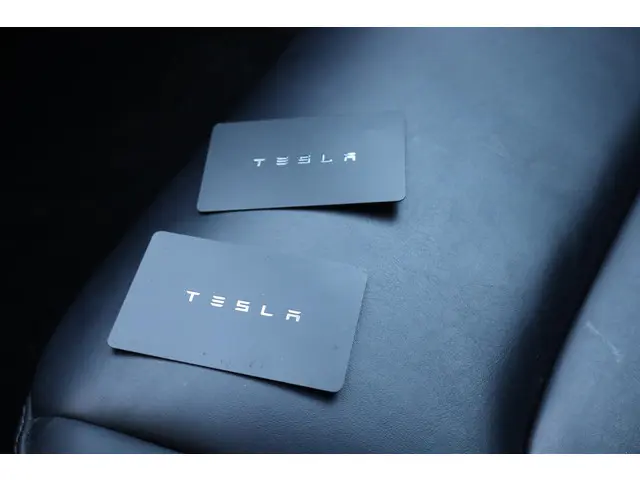 Tesla Model 3 Performance AWD 75 kWh 2019 Elektrisch 48