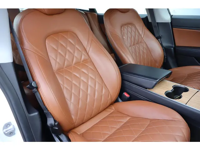 Tesla Model 3 Performance AWD 75 kWh 2019 Elektrisch 14